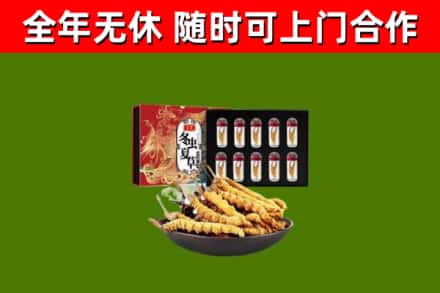贵阳回收冬虫夏草价格